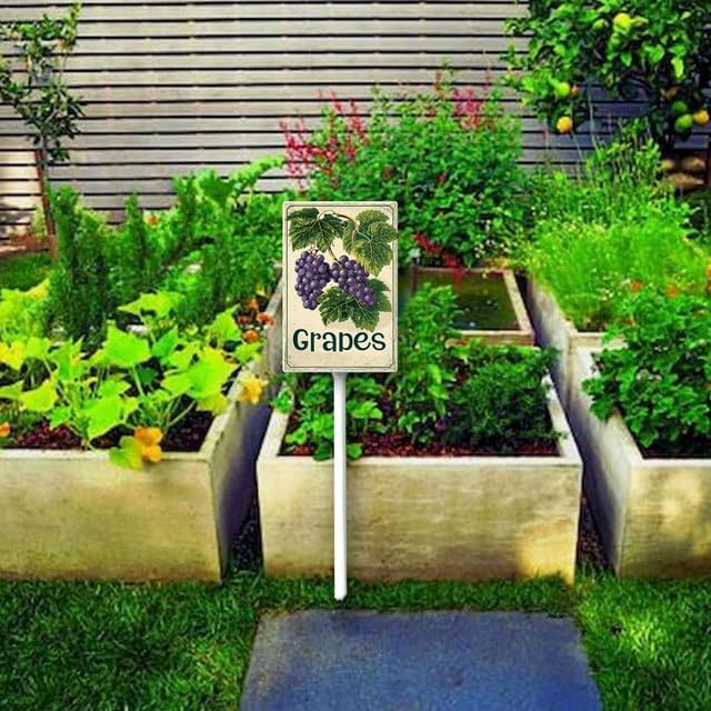 Uptell Vintage Aluminum Grapes Fruit Signs Yard Sign with Stake for Garden Fruit Garden Label Stakes Plant Markers for Outdoor Plants Waterproof 8x12 inch