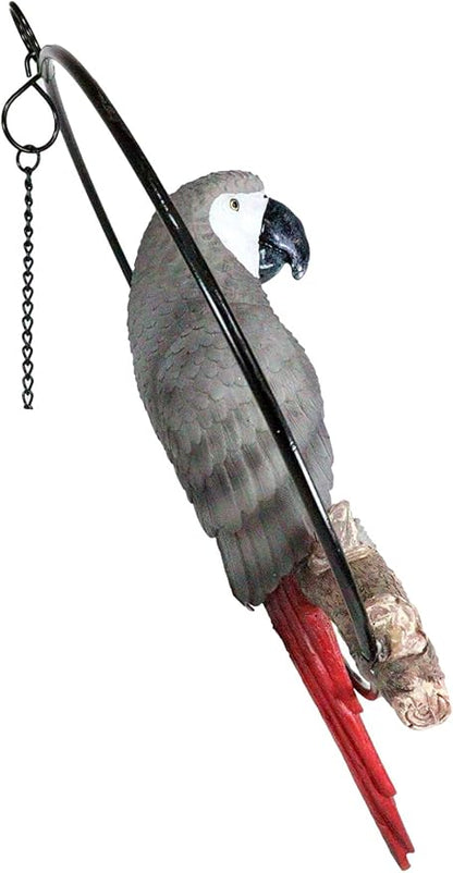 Ebros Patio Home Garden Hanging Macaw Parrot Perching on Branch in Metal Round Ring Figurine Sculpture Nature Lovers Tropical Bird Collectors Decor 13.5" H (Grey Macaw)