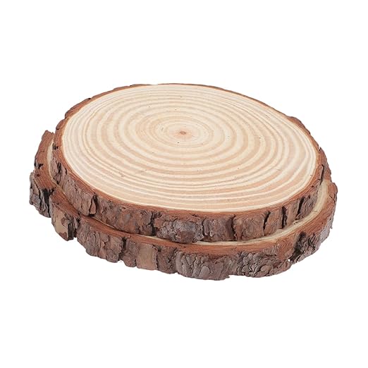 2pcs Garden Decorative Paver for Outdoor Walkway Pathway Decor for Lawn and Garden Landscaping