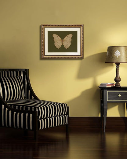ARPEOTCY Vintage Gold Framed Wall Art, 13x16 inch Classical White Butterfly Paintings, Dark Moody Green Canvas Prints Artwork with Antique Picture Frame, Victorian Wall Decor for Gallery Living Room