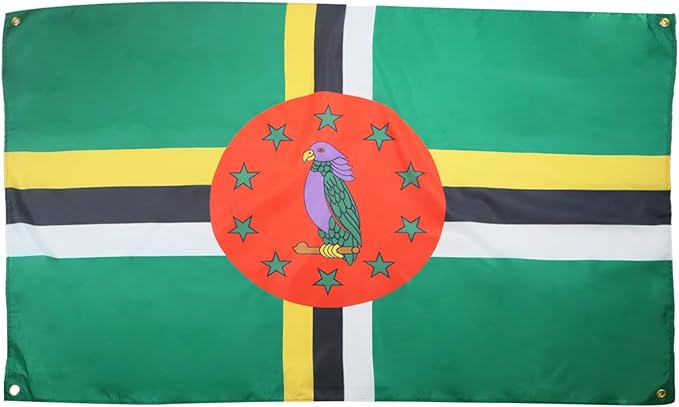 AZ FLAG Dominican Flag 150 x 90 cm with 4 Eyelets Dominican Pavilion for Balcony or Wall