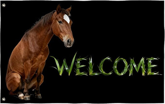 Horse Welcome Flag 3X5FT, Farm House Flags, Horse Meme Banner,Both Sides Printed, Men Women Banner,Vibrant Colors, Double Stitched with 2 Brass Grommets, Bar Garden Street Decoration, GYM, Office Decor,Indoor Outdoor Use,Gifts. (Horse, 3x5ft)