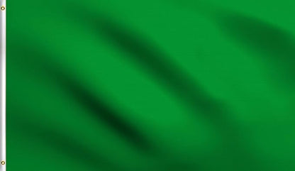 DMSE Solid Green Flag, 3x5 Flag, UV Resistant, Fade Resistant Material with Metal Grommets (3ft x 5ft), (Polyester), (Green)