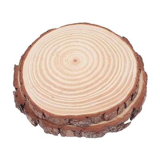 Milisten 2Pcs Garden Stepping Stones Decorative Outdoor Paver for Lawn Decor Thickness for Garden Pathways and Exterior Decoration