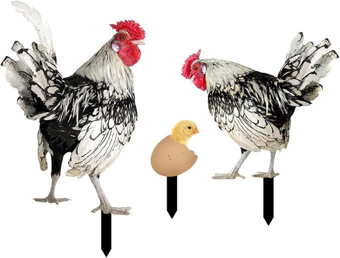 3Pcs Chicken Decorative Garden Stakes Yard Art Decor Outdoor Decoration Acrylic Ornaments Animal Stakes for Landscape Outside