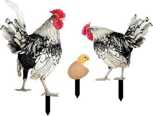 3Pcs Chicken Decorative Garden Stakes Yard Art Decor Outdoor Decoration Acrylic Ornaments Animal Stakes for Landscape Outside