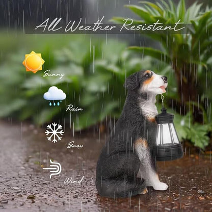 Solar Garden Dog Statue with Lanterns Outdoor Bernese Mountain Dog Garden Decor Figurine Lights for Patio Balcony Shelf Tabletop Lawn, Unique Housewarming Birthday Thanksgiving Gifts for Women Mom