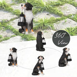 Solar Garden Dog Statue with Lanterns Outdoor Bernese Mountain Dog Garden Decor Figurine Lights for Patio Balcony Shelf Tabletop Lawn, Unique Housewarming Birthday Thanksgiving Gifts for Women Mom