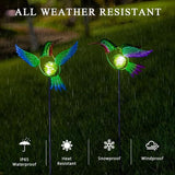 Hummingbird Solar Garden Stakes Lights 2 Pack,Solar Hummingbird Bird Figurine Outdoor Lights for Spring Garden Pathway Lawn Yard Decoration