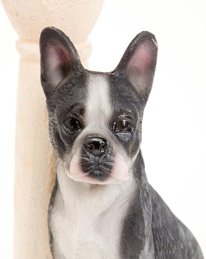 Bits and Pieces - Solar Dog Lantern-Solar Powered Garden Lantern - Resin Dog Sculpture with LED Light (Boston Terrier) - 13.5" Tall