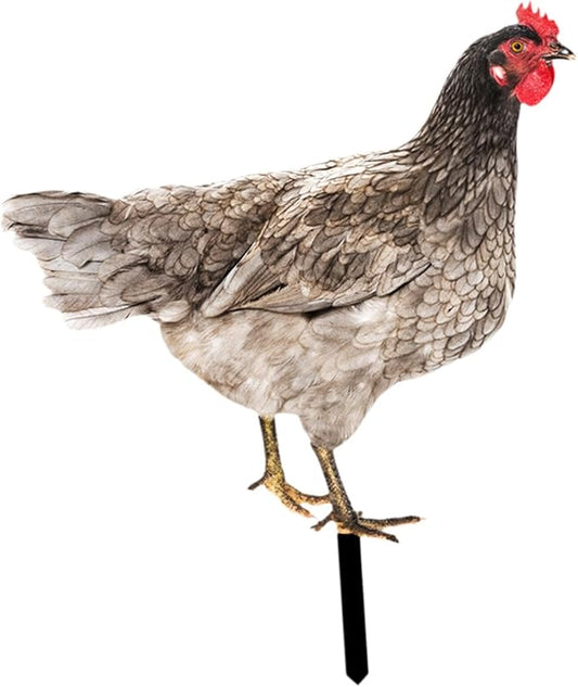 Rooster Yard Stake Hen Lawn Ornament Gift Chicken Garden Statue Figurine for Hallway Farmhouse Entryway Birthday Thanksgiving, Style B