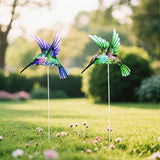 A Set of Adorable Wrought-Iron Garden planters is Suitable for Various Places Such as patios, courtyards, corridors, etc. (Hummingbird)