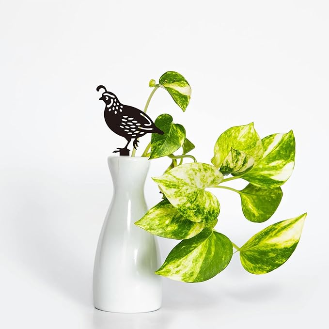 GLOBLELAND 5 Pcs Quail Birds Garden Stakes Birds Metal Decorative Garden Stakes Metal Yard Signs Decoration for Lawn Patio Yard Garden Decor