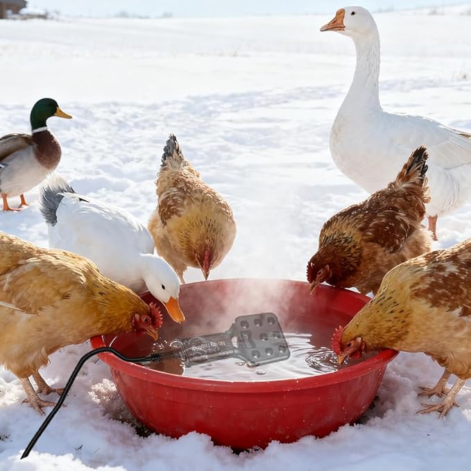 120V 500W Pond De-Icer and Chicken Water Heater for Livestock Tank Heater, Featuring Power-Off Protection, Overheating Protection, GFCI Plug & 9.2FT UL Approved Cord