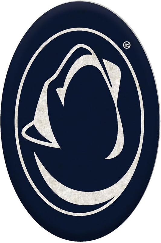 Team Sports America NCAA Your Team Rocks Team Logo Garden Rock