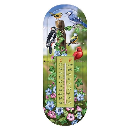 Briarwood Lane Country Birds Metal Thermometer