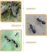 Simulated Ant Statue Set 6 Pieces Miniature Desk Ants Sculptures Indoor Outdoor Garden Decoration Lightweight 2.55X2.36X0.78 Inch