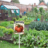 Bidesign (7X8.8) IN Carrots Aluminum Vegetable Garden Sign With Stake Vegetable Plant Marker Garden Stake Tags With Vegetable Names fFor Nursery Outdoor Vegetable Garden Fence Decoration