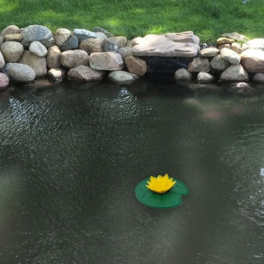 Healthy Ponds AquaLily Pond Water Cleaner Filled with Natural Beneficial Bacteria | Decorative Reloadable Dispenser Treats up to 1,000 Gallons