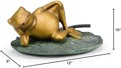 Aquascape Lazy Frog on Lily Pad Spitter Fountain for Ponds and Water Gardens, 78311