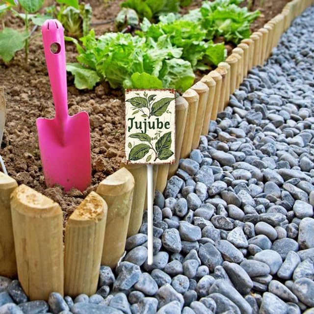 Uptell Vintage Aluminum Jujube Fruit Signs Yard Sign with Stake for Garden Fruit Garden Label Stakes Plant Markers for Outdoor Plants Waterproof 8x12 inch