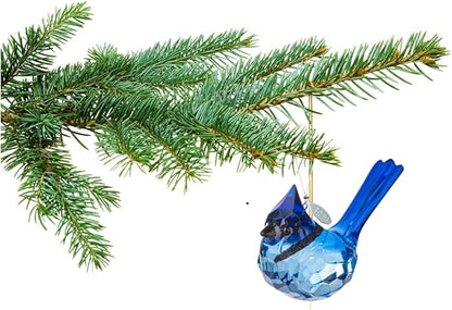 Birdwatcher Gift, Stunning Blue Jay Sparkling Suncatcher, Acrylic Ornament - A Perfect Bird Gift with 2026 Charm & Suction Cup - Stunning Acrylic Bird Suncatcher, Blue Jay Car Charm