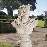 Design Toscano Apollo Belvedere Sculptural Bust