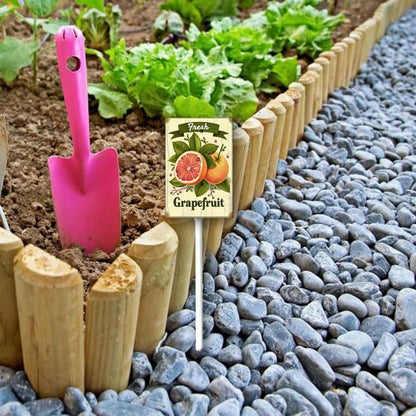 Uptell Vintage Aluminum Grapefruit Fruit Signs Yard Sign with Stake for Garden Fruit Garden Label Stakes Plant Markers for Outdoor Plants Waterproof 7x8.8 inch