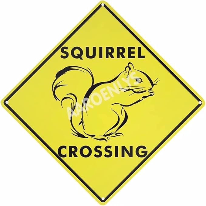 Metal Tin Sign Squirrel Crossing Xing Farm Organic Country Yard Sign Aluminum Street Sign for Indoor Outdoor Home Decor Wall Decoration 12x12 Inch