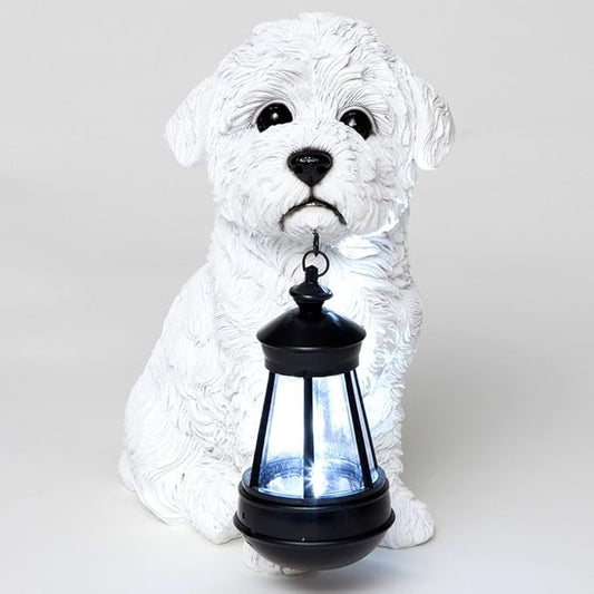 Bits and Pieces - Dog Solar Lantern Statue - Solar Powered Garden Lantern - Resin Dog Sculpture with LED Light - Outdoor Lighting and Décor (Bichon)