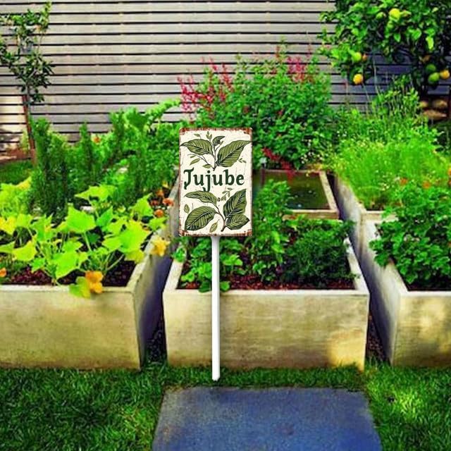 Uptell Vintage Aluminum Jujube Fruit Signs Yard Sign with Stake for Garden Fruit Garden Label Stakes Plant Markers for Outdoor Plants Waterproof 7x8.8 inch