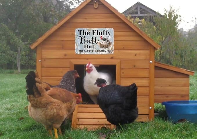 Renokes Funny Chicken Coop Sign Fluffy Hut Last One in is A Rotten Egg 12 inch x8 inch Chicken Metal Tin Sign Wall Plaque for Farm Decor Coop Rooster Decor Chicken Coop Decor