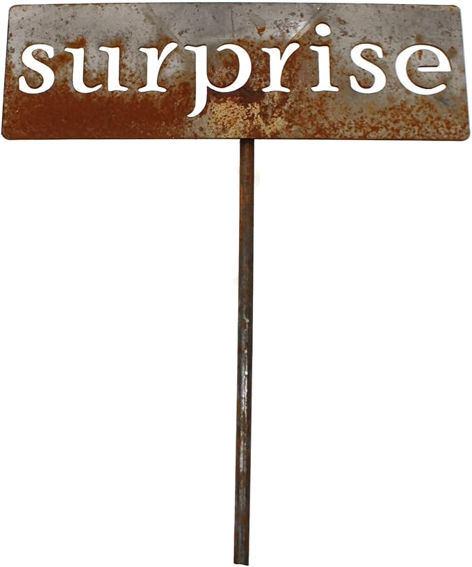 Classic Metal Garden Markers 19 Inches Tall (surprise, Naturally Rusted)
