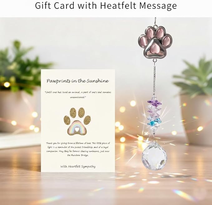 Pet Memorial Gifts for Cats Dogs: Round Ball Crystal Sun Catcher Remembrance Ornament, Cat Memorial Gifts for Loss of Cat, Rainbow Bridge Dog Passing Away Bereavement Pet Loss Sympathy Gift