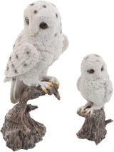 DOITOOL 2PCS Realistic Owl Figurine Weather-Resistant Garden Statues with Fine Detailing for Outdoor Patio Porch Decor and Science Learning
