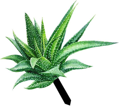 Ciieeo Aloe Stake Garden Decor Double-Sided Acrylic Outdoor Ornament for Vibrant Patio Decoration for Lawn and Pathway Displays