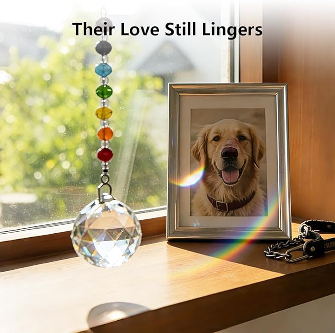 Pet Memorial Gifts for Cats Dogs: Round Ball Crystal Sun Catcher Remembrance Ornament, Cat Memorial Gifts for Loss of Cat, Rainbow Bridge Dog Passing Away, Bereavement Pet Loss Sympathy Gift