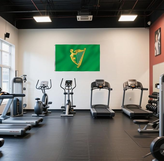 Green Harp Ireland Flag 6X10FT, Am Harp Flags,Both Sides Printed, Men Women Banner,Vibrant Colors, Double Stitched with 2 Brass Grommets, Bar Garden Street Decoration, GYM, Office Decor,Indoor Outdoor Use,Gifts. (Green, 6x10ft)