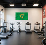 Green Harp Ireland Flag 6X10FT, A Harp Flags,Both Sides Printed, Men Women Banner,Vibrant Colors, Double Stitched with 2 Brass Grommets, Bar Garden Street Decoration, GYM, Office Decor,Indoor Outdoor Use,Gifts. (Green, 2x3ft)