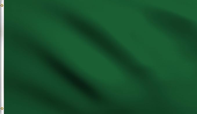 DMSE Solid Dark Green Flag, 3x5 Flag, UV Resistant, Fade Resistant Material with Metal Grommets (3ft x 5ft), (Polyester), (Dark Green)
