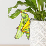 JOONOR 2 Pieces Stained Acrylic Moth Flower Pot Hugger Cute Animal Moth Grasshopper Statue for Planter Hanger Decorations Outdoor Fairy Garden Planter Edge Accessories,Style E