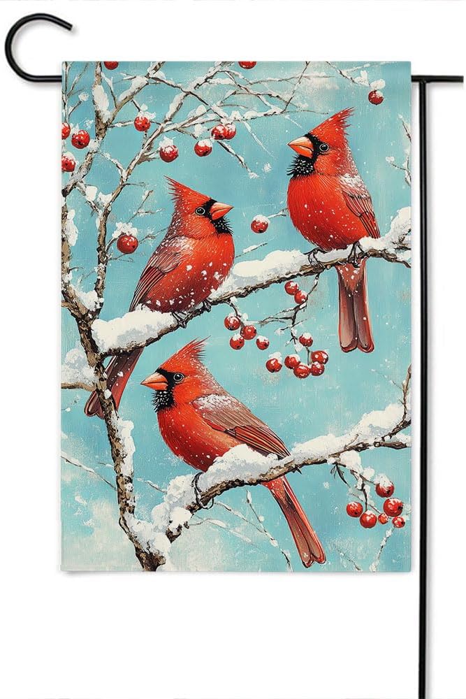 Gkyygk Red Cardinal Snow Welcome Garden Flag 12x18 Inch Double Sided Small Burlap Banners Yard House Seasonal Farmhouse Home Decor for Men Women