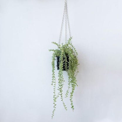 Hotop 8 Pcs Metal Hanging Chains with Ceiling Hooks, Garden Plant Hangers for Hanging Bird Feeders, Billboards, Chalkboards, Basket, Planters, Lanterns, Wind Chimes, Chain Hook DIY(16.38 Inch,Silver)