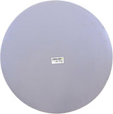 Roman Snoopy Hug Stepping Stone, 12-inch Diameter, Resin, Home, Garden, Outdoor