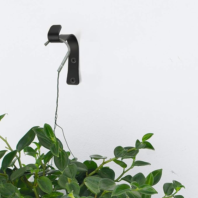 CM Hanging Plant Bracket Plant Hangers Outdoor Heavy Duty Wall Hooks Metal Plant Pot Hangers for Bird Feeders, Planters, Lanterns, Wind Chimes, Houseplants Indoor Outdoor (Small (3.6 x 3 inches))