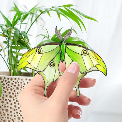 JOONOR 2 Pieces Stained Acrylic Moth Flower Pot Hugger Cute Animal Moth Grasshopper Statue for Planter Hanger Decorations Outdoor Fairy Garden Planter Edge Accessories,Style E