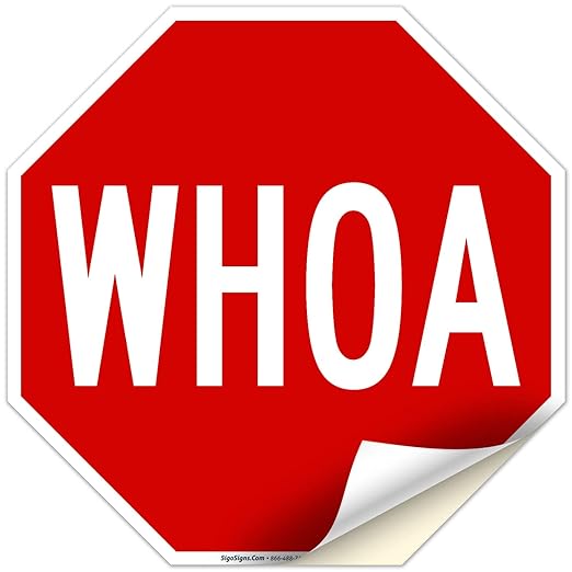Whoa Sign, 12x12 Inches, 4 Mil Vinyl Decal Stickers UV Protected, Made in USA