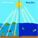 Natural Waterscapes Pond Dye - Vivid Blue Super Concentrate - 1 Quart Treats 1 Acre up to 6 Feet Deep, True Blue Pond Dye, Creates Vibrant Blue Color in Pond Water
