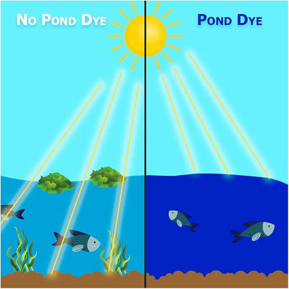 Natural Waterscapes Pond Dye - Vivid Blue Super Concentrate - 1 Quart Treats 1 Acre up to 6 Feet Deep, True Blue Pond Dye, Creates Vibrant Blue Color in Pond Water