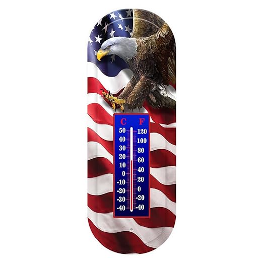 Briarwood Lane Freedom Eagle Metal Thermometer